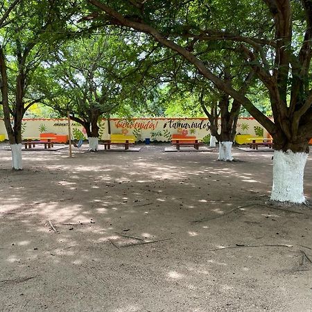 Hotel Tamarindos Zihuatanejo Kültér fotó